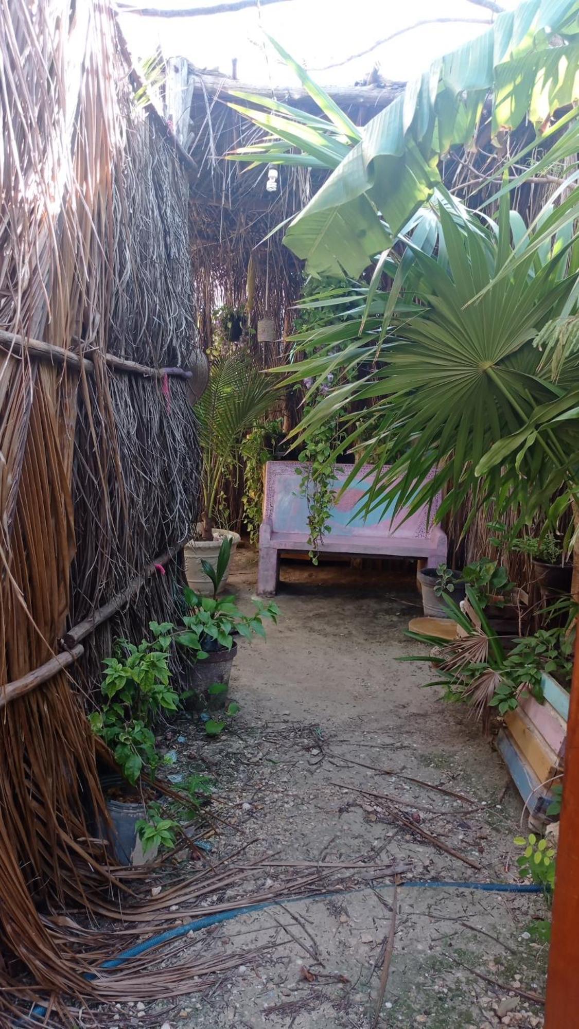 Casa Vainilla Holbox Island Aparthotel Εξωτερικό φωτογραφία