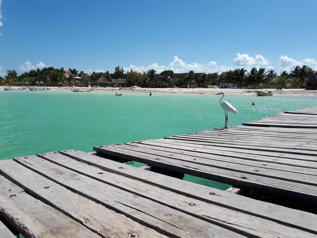 Casa Vainilla Holbox Island Aparthotel Εξωτερικό φωτογραφία